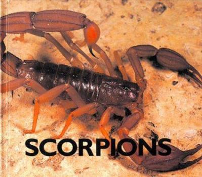 Library Binding Scorpions Book