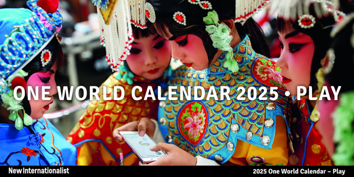 Calendar One World Calendar 2025 Book