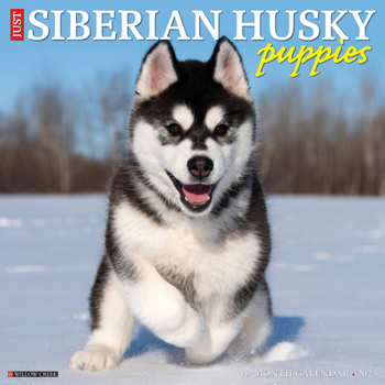 Calendar Just Siberian Husky Puppies 2023 Wall Calendar Book