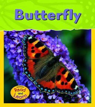 Paperback Butterfly Book