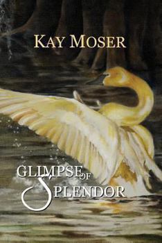 Paperback Glimpse of Splendor Book