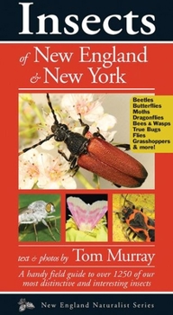 Paperback Insects of New England & New York Book