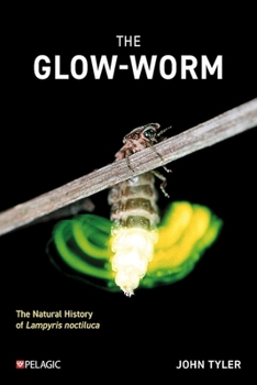 Paperback The the Glow-Worm: The Natural History of Lampyris Noctiluca Book