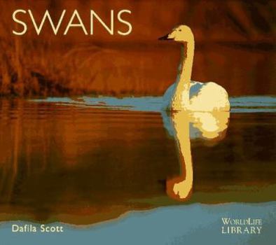 Paperback Swans Book