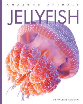 Jellyfish - Book  of the Amazing Animals