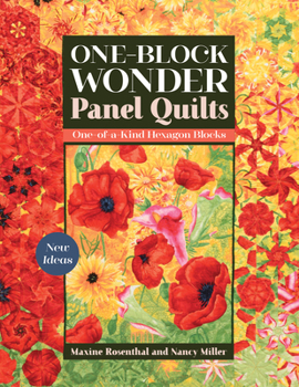 Paperback One-Block Wonder Panel Quilts: New Ideas; One-Of-A-Kind Hexagon Blocks Book