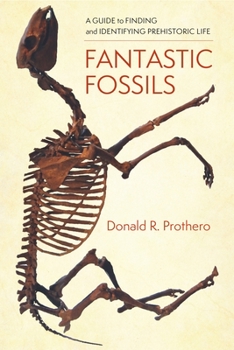 Hardcover Fantastic Fossils: A Guide to Finding and Identifying Prehistoric Life Book