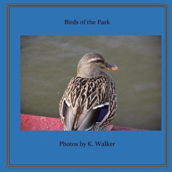 Paperback Birds of the Park Book