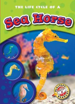 The Life Cycle of a Sea Horse - Book  of the Life Cycles