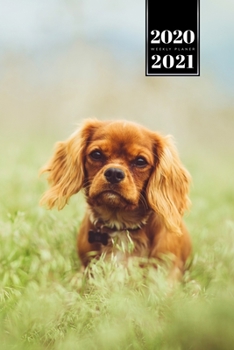 Cavalier King Charles Spaniel Dog Calendar Week Planner 2020 / 2021 - Meadow: Pup Puppy Doggie Pet Owner Weekly Bullet Journal Notebook Diary in 6” x 9” Inch Pocket Size