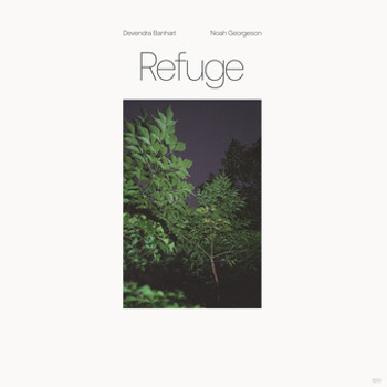 Vinyl Refuge Book