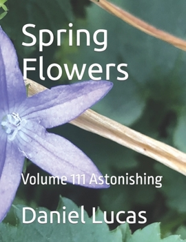 Paperback Spring Flowers: Volume 111 Astonishing Book