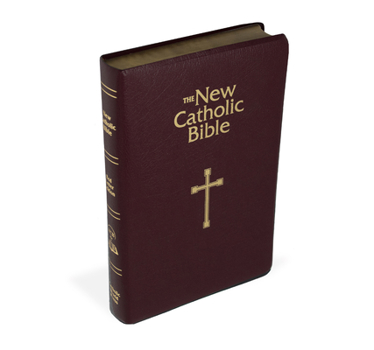 Imitation Leather Ncb Gift & Award Bible Book
