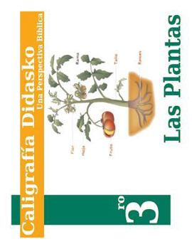 Paperback Caligrafia 3 [Spanish] Book