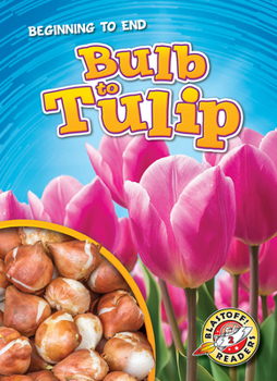 Library Binding Bulb to Tulip Book