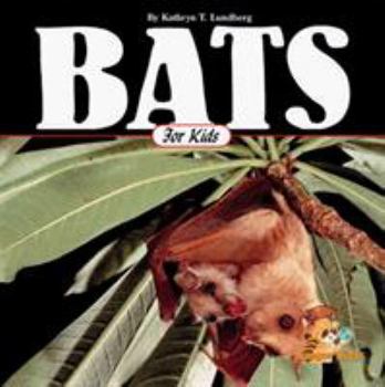 Paperback Bats for Kids Book