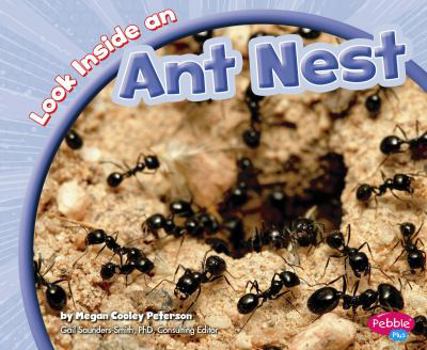 Hardcover Look Inside an Ant Nest Book