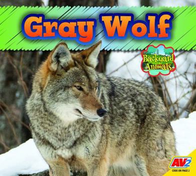 Gray Wolf