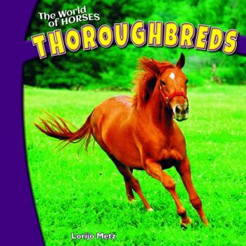 Paperback Thoroughbreds Book