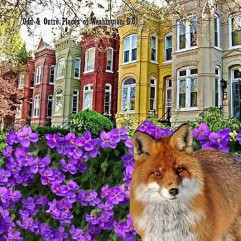 Paperback Odd & Outré Places of Washington, D.C. Book