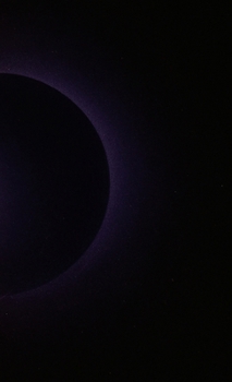 Hardcover Analog Emotions - The Complete Edition: (A Voyage Through Dream & Debris) Book