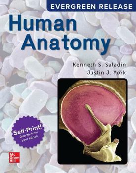 Human Anatomy (2024 Release)