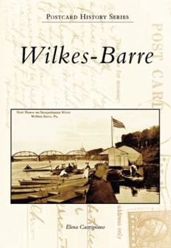 Paperback Wilkes-Barre Book