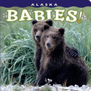 Board book Alaska Babies! Book