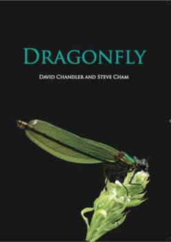 Hardcover Dragonfly Book