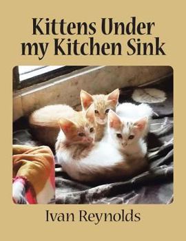 Paperback Kittens Under my Kitchen Sink Book