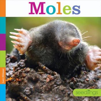 Paperback Moles Book