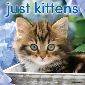 Calendar Just Kittens 2024 12 X 12 Wall Calendar Book