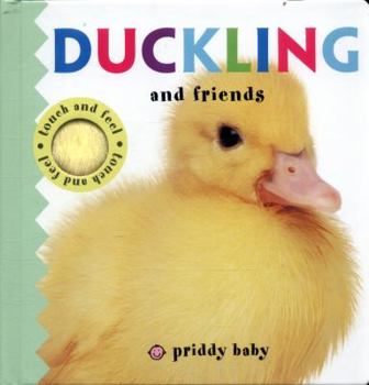 Board book Duckling and Friends: Priddy Touch & Feel Book
