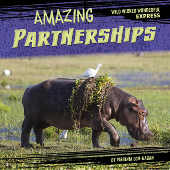Paperback Amazing Partnerships Book