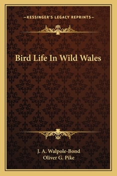 Bird Life in Wild Wales