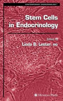 Paperback Stem Cells in Endocrinology Book