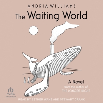 MP3 CD The Waiting World Book