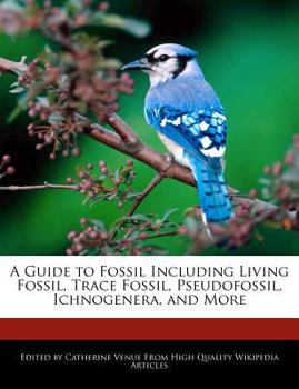 A Guide to Fossil Including Living Fossil, Trace Fossil, Pseudofossil, Ichnogenera, and More