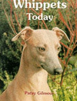 Hardcover Whippets Today Book