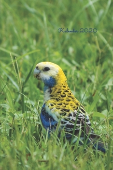 Paperback Sittich: Jahresplaner / Terminplaner / Kalender 2020bunter Sittich - DIN A5 - Vogel Geschenke Papagei [German] Book