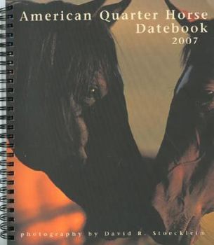 Calendar 2007 American Quarter Horse Datebook Book