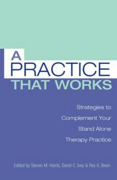 Paperback A Practice That Works: Strategies to Complement Your Stand Alone Therapy Practice Book