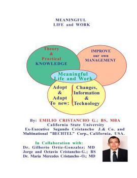 Paperback Meaningful Life and Work Book