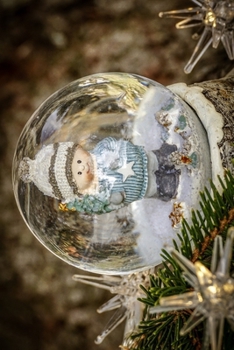 Snow Globe notebook - achieve your goals, perfect 120 lined pages #5 (Snow Globe Notebooks)