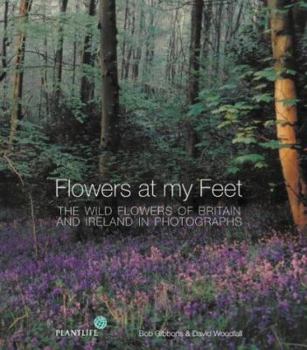 Hardcover Flowers at My Feet: The Wild Flowers of Britain and Ireland in Photographs Book