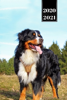 Bernese Mountain Dog Calendar Week Planner 2020 / 2021 - Observing Nature: Pup Puppy Doggie Pet Owner Weekly Bullet Journal Notebook Diary in 6” x 9” Inch Pocket Size