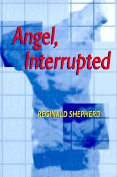 Paperback Angel Interrupted Book