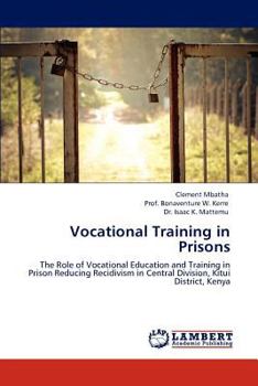 Paperback Vocational Training in Prisons Book