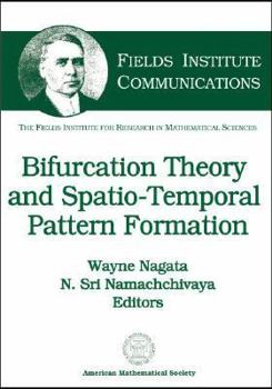 Hardcover Bifurcation Theory and Spatio-Temporal Pattern Formation Book