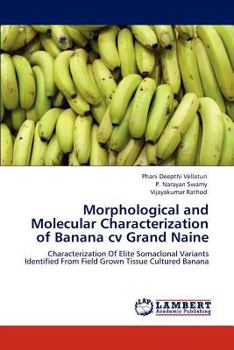 Paperback Morphological and Molecular Characterization of Banana cv Grand Naine Book